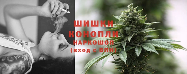 a pvp Бородино