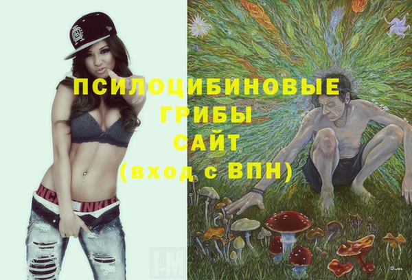 каннабис Богданович